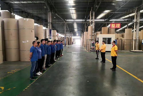 花園建材榮膺東陽市中小企業市長科技創新獎，引領行業綠色轉型新篇章