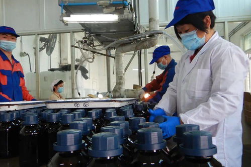 感恩前行 光華科技，不止于中國(guó)精細(xì)化工50強(qiáng)，深耕生物化工產(chǎn)品技術(shù)研發(fā)