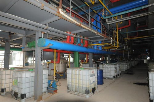 章丘龍翔樹(shù)莓生物科技 引領(lǐng)生物化工產(chǎn)品技術(shù)研發(fā)新篇章